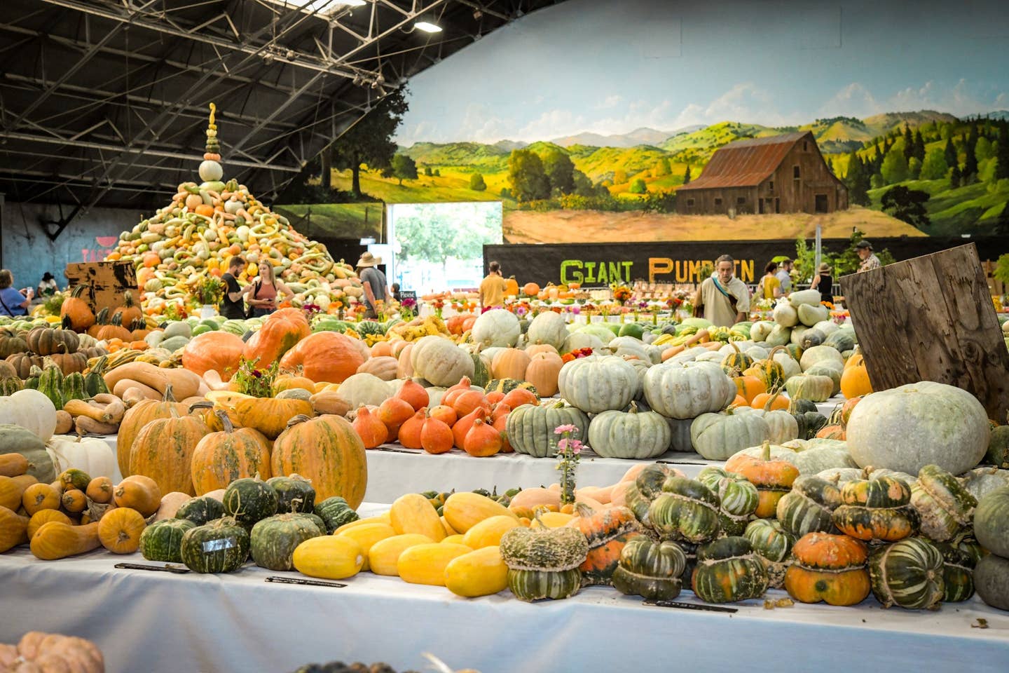 An Heirloom Seed Extravaganza