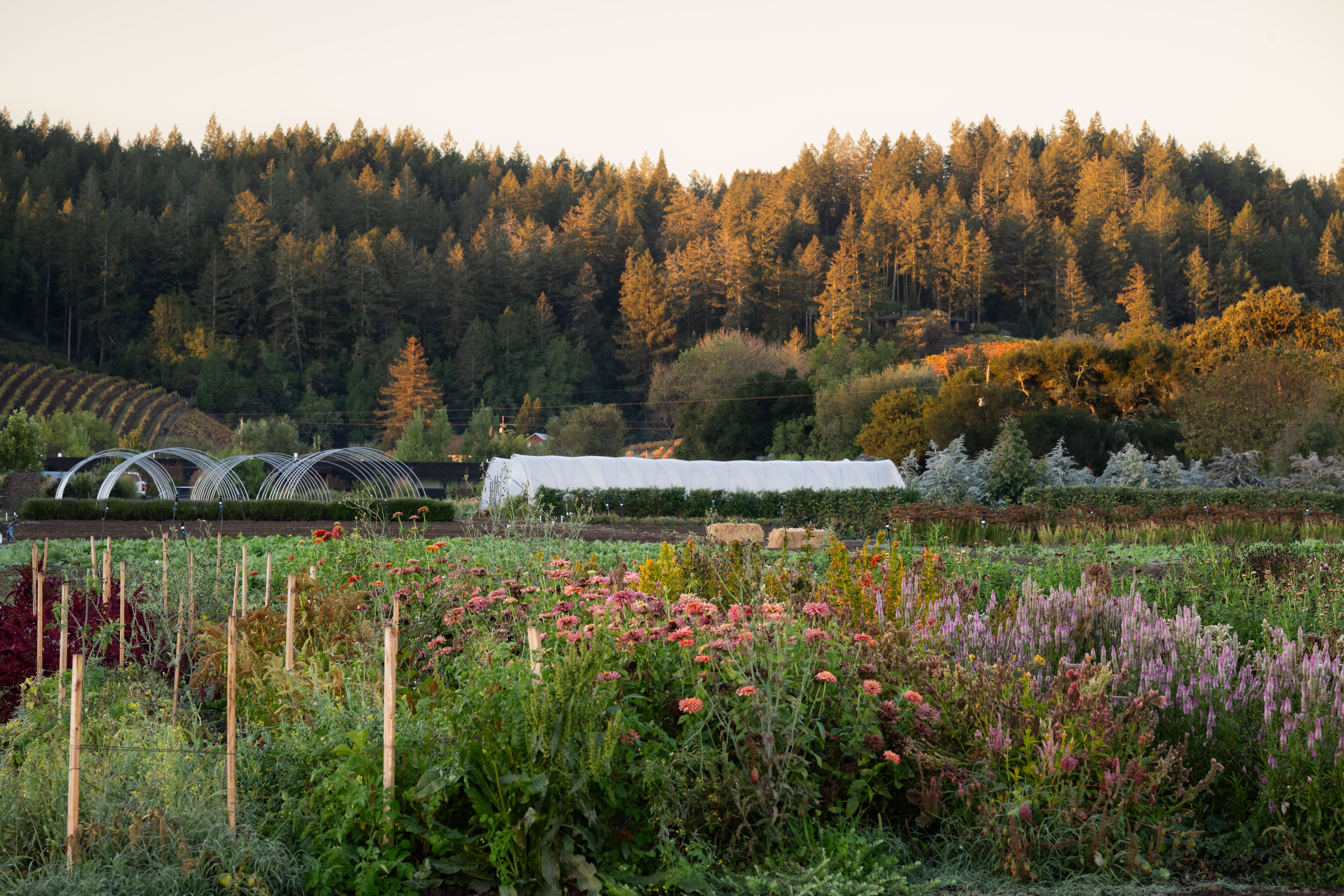 FieldNotes, the Annual Farm Summit at SingleThread