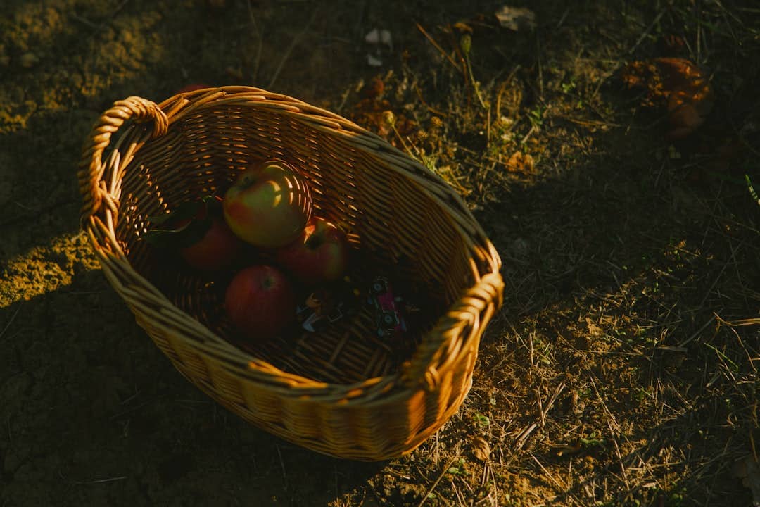 September harvest basket with fresh fruits - what fruit is in season in september