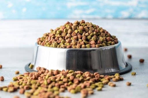 The Best Freeze-Dried Raw Pet Foods Compared: What Pet Parents Need to Know Before Buying
