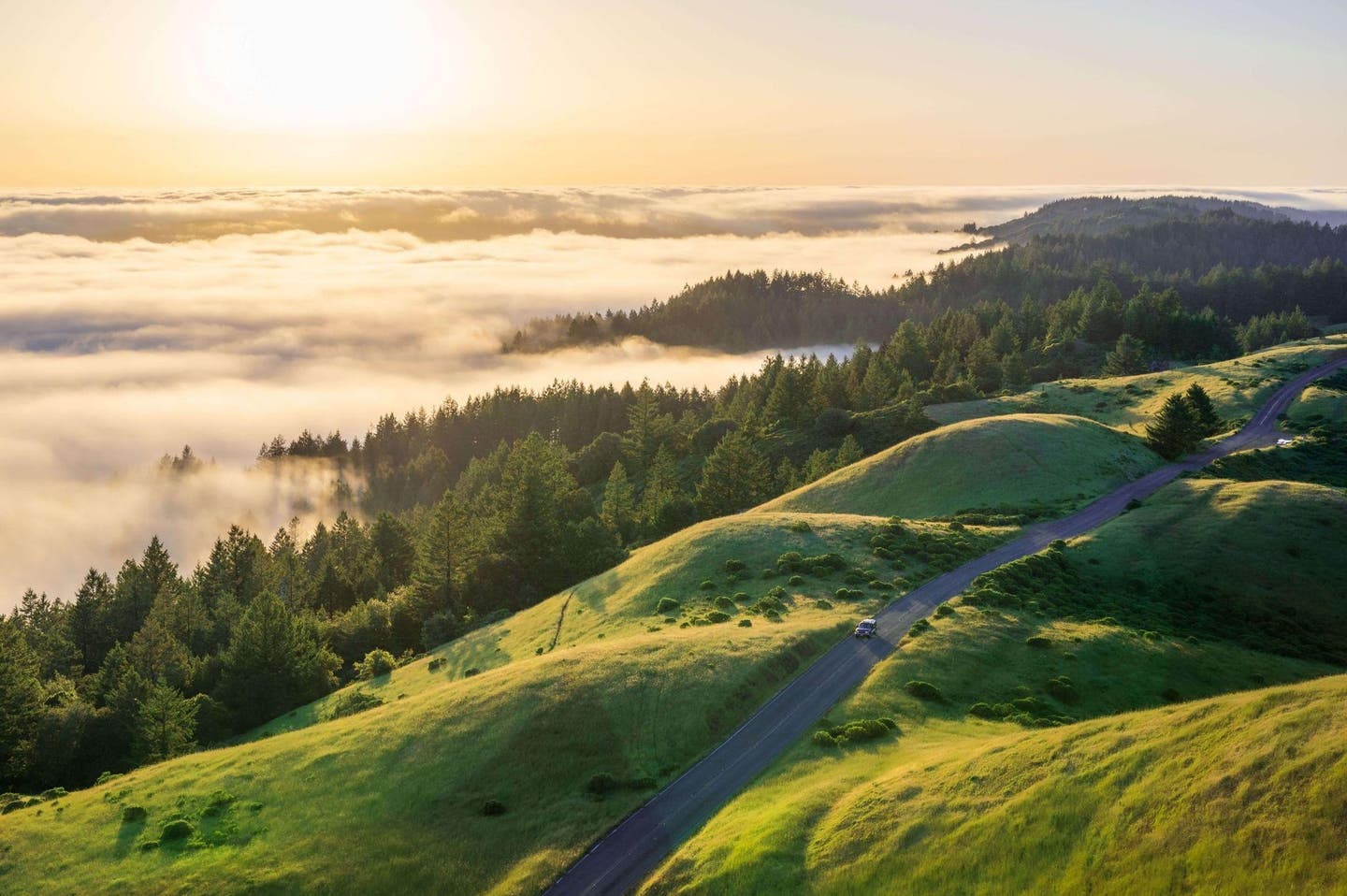 California Dining Experiences Worth Building a Premium Journey Around